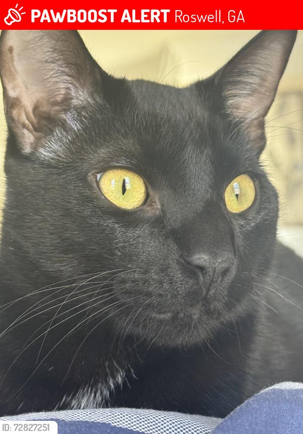 Lost Male Horse last seen Black , Roswell, GA 30075