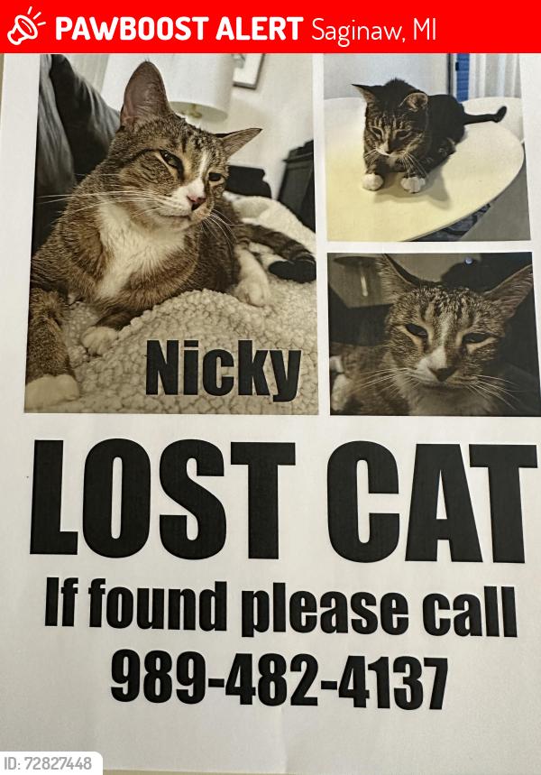 Lost Male Cat last seen hosp and weineke near country ridge , Saginaw, MI 48603