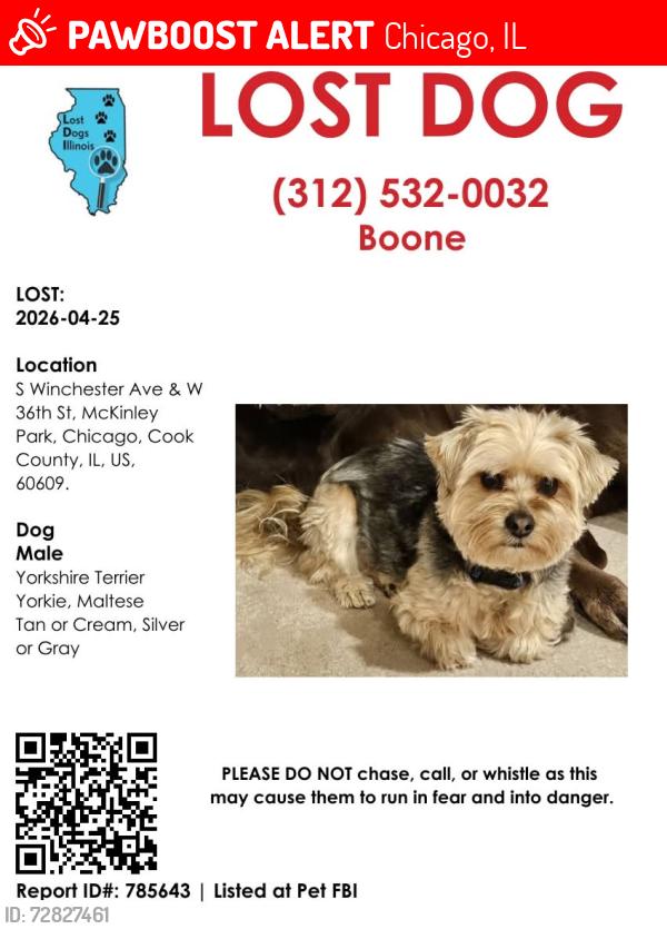 Lost Male Dog last seen S Winchester Ave and W 36th St. McKinley Park, Chicago, IL 60609, Chicago, IL 60609