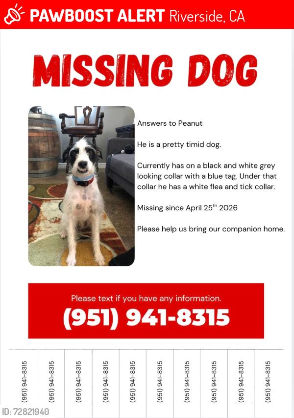 Lost Male Dog last seen Golden , Riverside, CA 92505