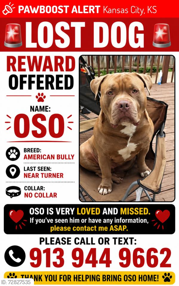 Lost Male Dog last seen OSO He was last seen at Turner Walking Park., Kansas City, KS 66106