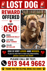 Lost Male Dog last seen OSO He was last seen at Turner Walking Park., Kansas City, KS 66106