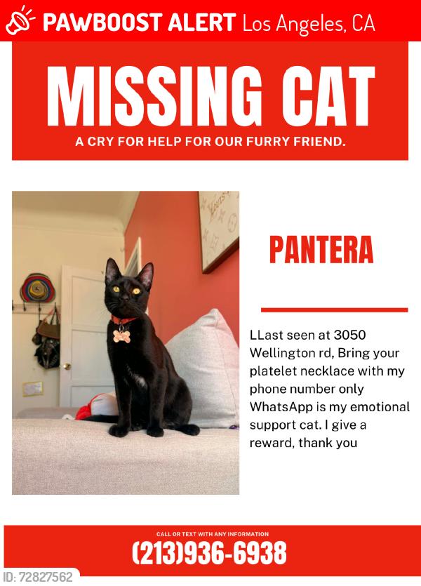 Lost Male Cat last seen Near welligton rd, Los Angeles, CA 90016