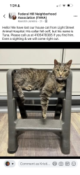 Reunited Male Cat last seen Near light street , Baltimore, MD 21230