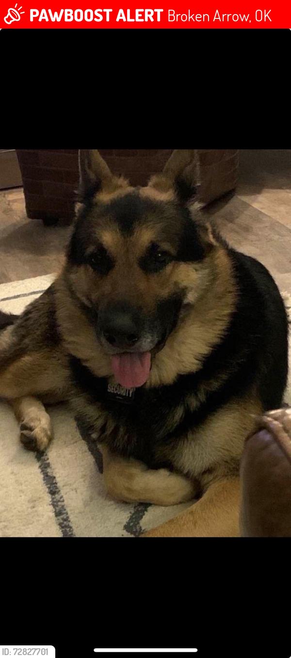 Lost Male Dog last seen 81st and Garnett, Broken Arrow, OK 74014