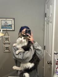Lost Male Cat last seen Rosewood Subdivision , Gainesville, GA 30507