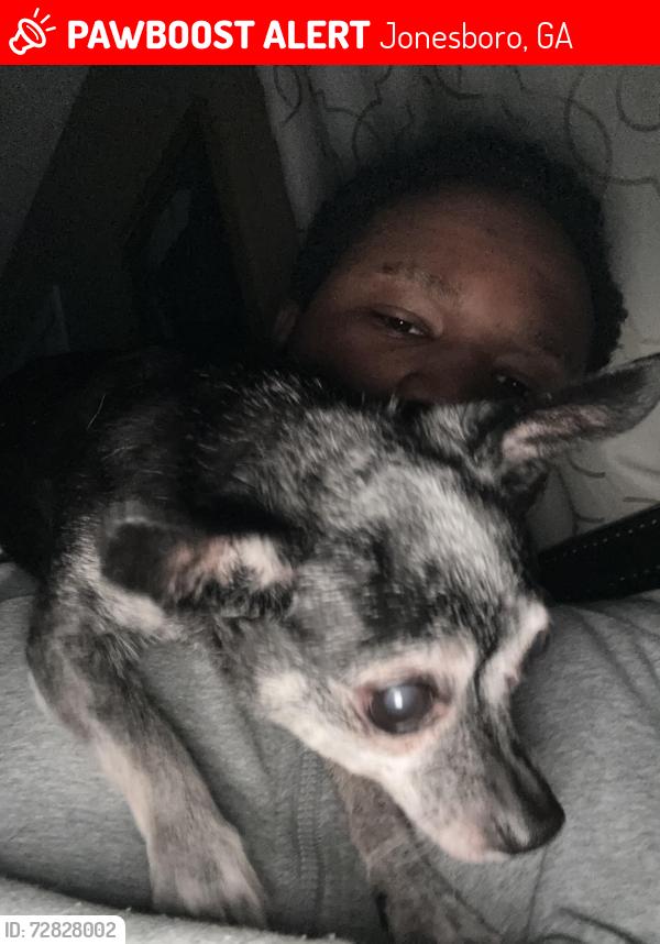 Lost Male Dog last seen Thomas rd , Jonesboro, GA 30238