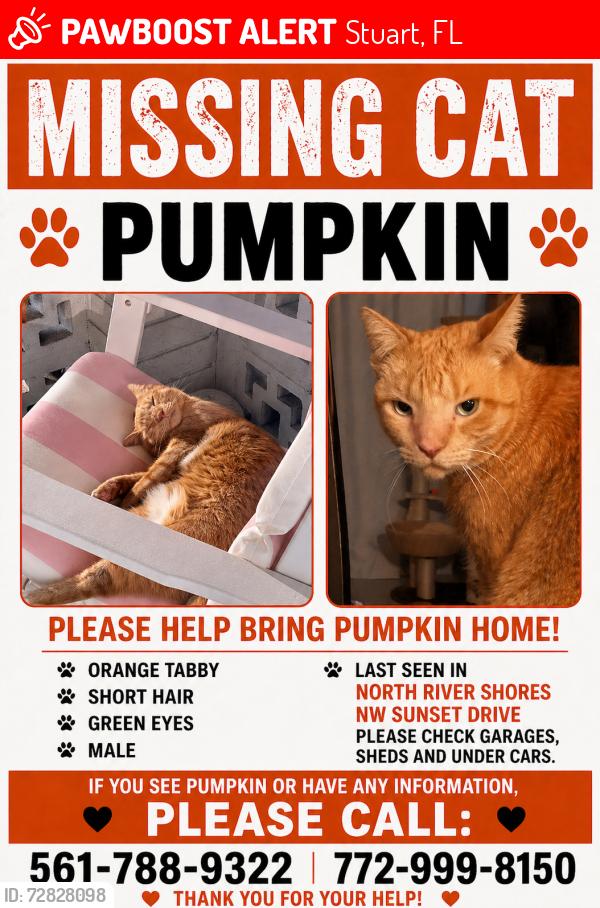 Lost Male Cat last seen North River Shores, Stuart, FL 34994