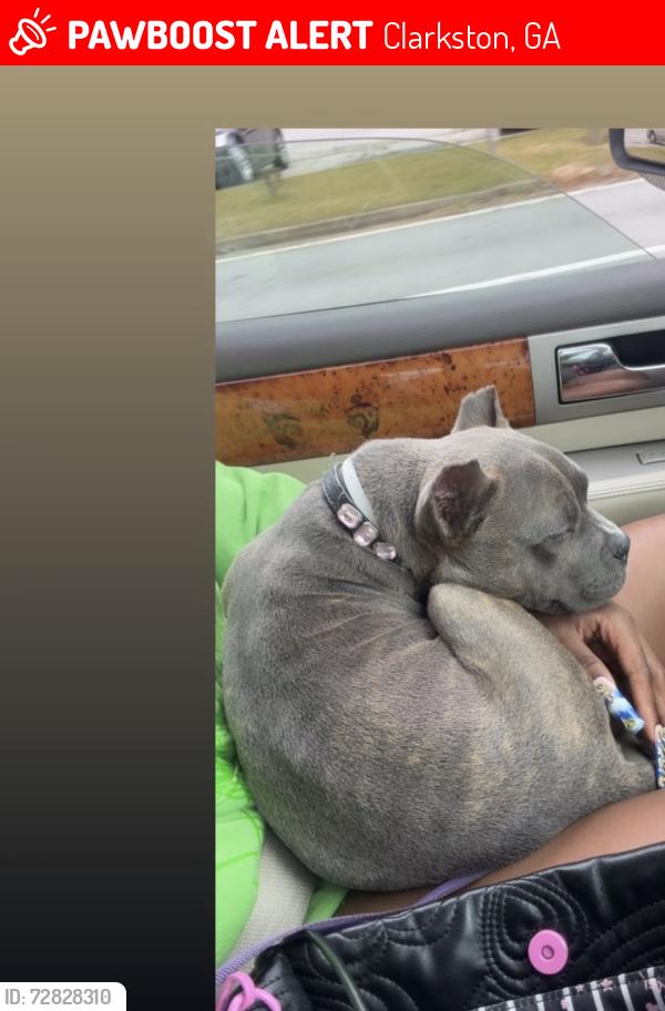 Lost Female Dog last seen Montreal rd, Clarkston, GA 30021