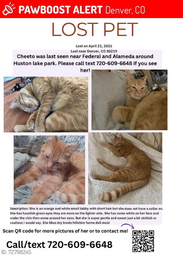 Lost Female Cat last seen S Zuni st andW Gunnison Pl, Denver, CO 80219