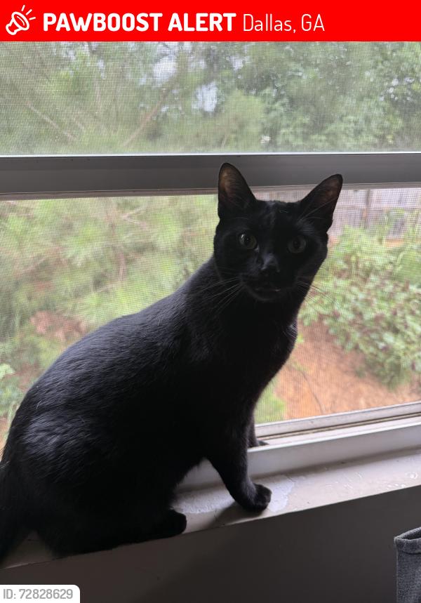 Lost Male Cat last seen West bridge park, Dallas, GA 30157