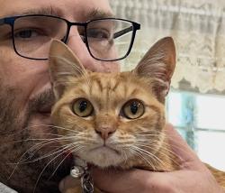 Reunited Female Cat last seen The Palms at Mesa, Mesa, AZ 85210