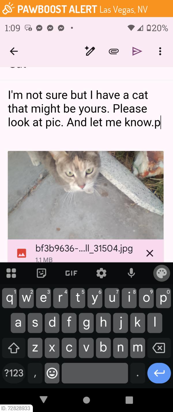 Found/Stray Female Cat last seen Mint frost way, Las Vegas, NV 89108