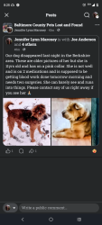 Lost Female Dog last seen Berkshire Elementary school , Baltimore, MD 21224