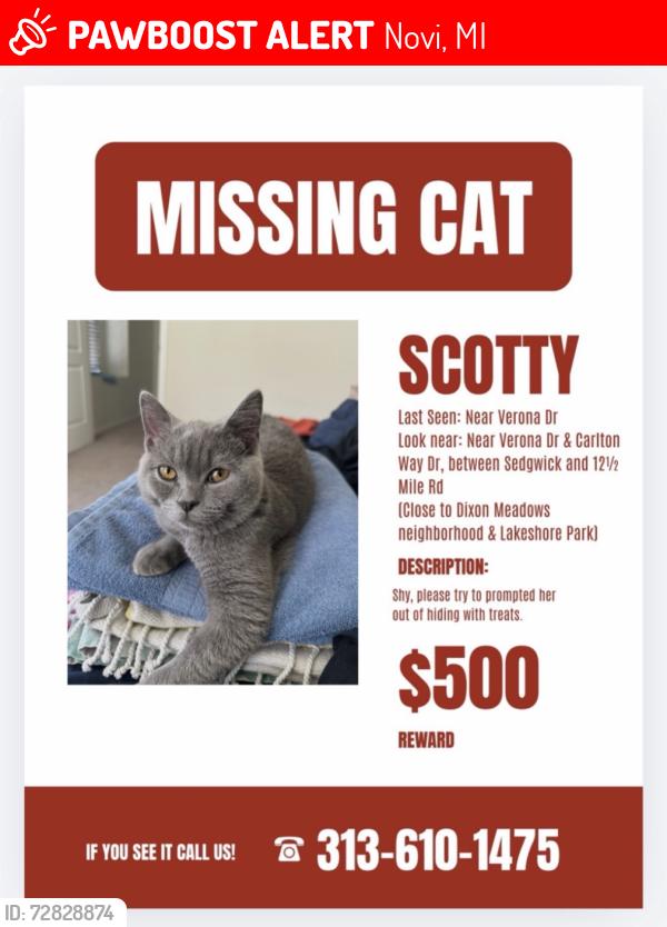 Lost Female Cat last seen Verona Dr, Novi, MI 48377