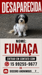 Lost Female Dog last seen Villa Santana Sorocaba, Vila Santana, SP 18080-745