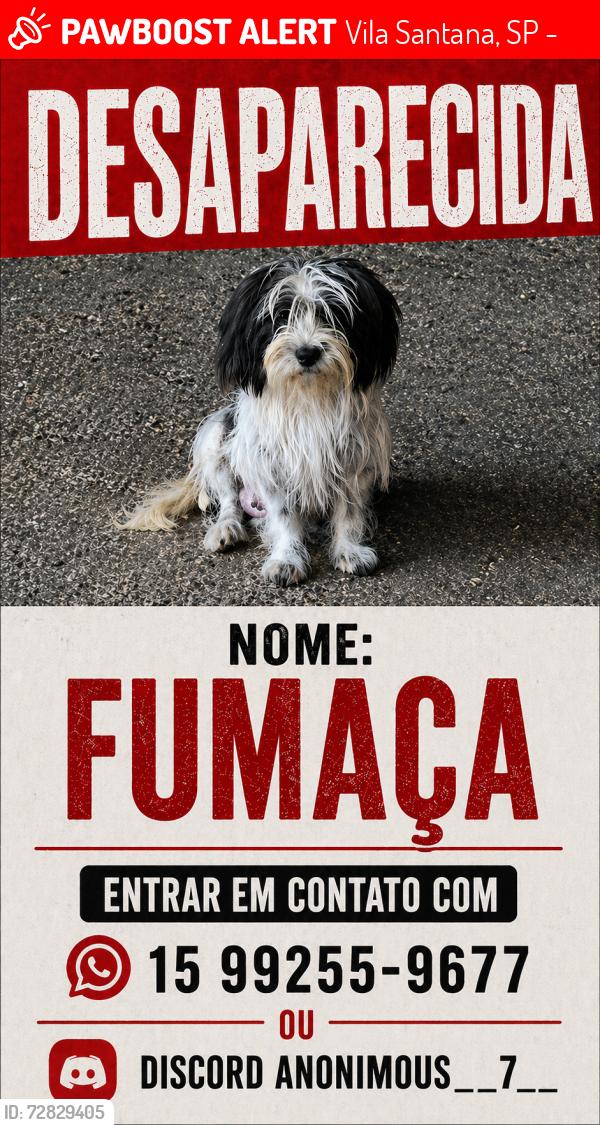 Lost Female Dog last seen Villa Santana Sorocaba, Vila Santana, SP 18080-745