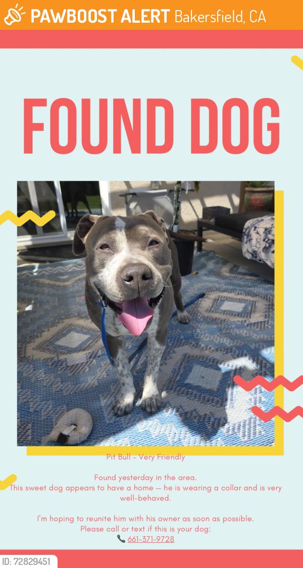 Found/Stray Male Dog last seen Mccutchen, Bakersfield, CA 93313