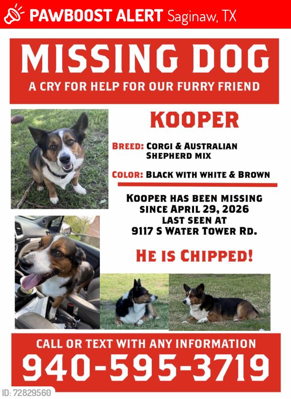 Lost Male Dog last seen North Fork ests, Saginaw, TX 76179