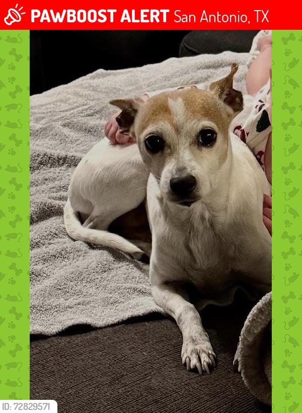 Lost Female Dog last seen Pebble Cir and Uhr by Northern Hills Golf Course, San Antonio, TX 78217