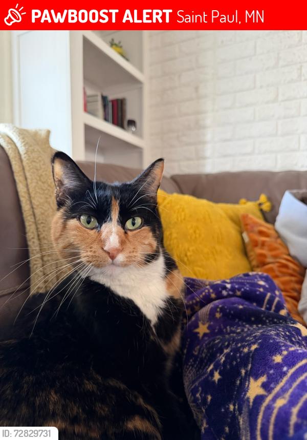 Lost Female Cat last seen Dale St. Close to I 94, Saint Paul, MN 55104