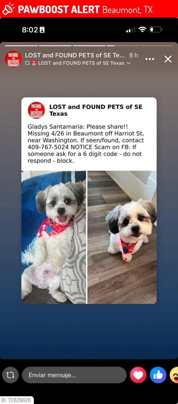 Lost Male Dog last seen Beaumont tx , Beaumont, TX 77705