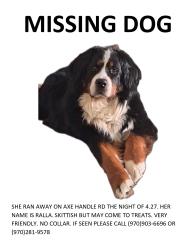 Lost Female Dog last seen Axe Handle Rd, Washoe County, NV 89510