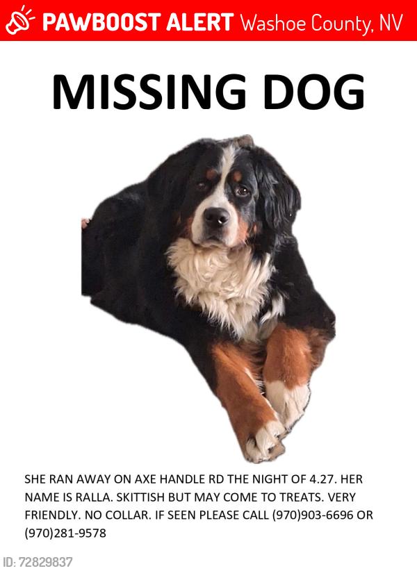 Lost Female Dog last seen Axe Handle Rd, Washoe County, NV 89510