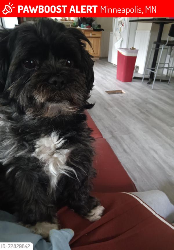 Lost Male Dog last seen Bohannon Park, Minneapolis, MN 55430