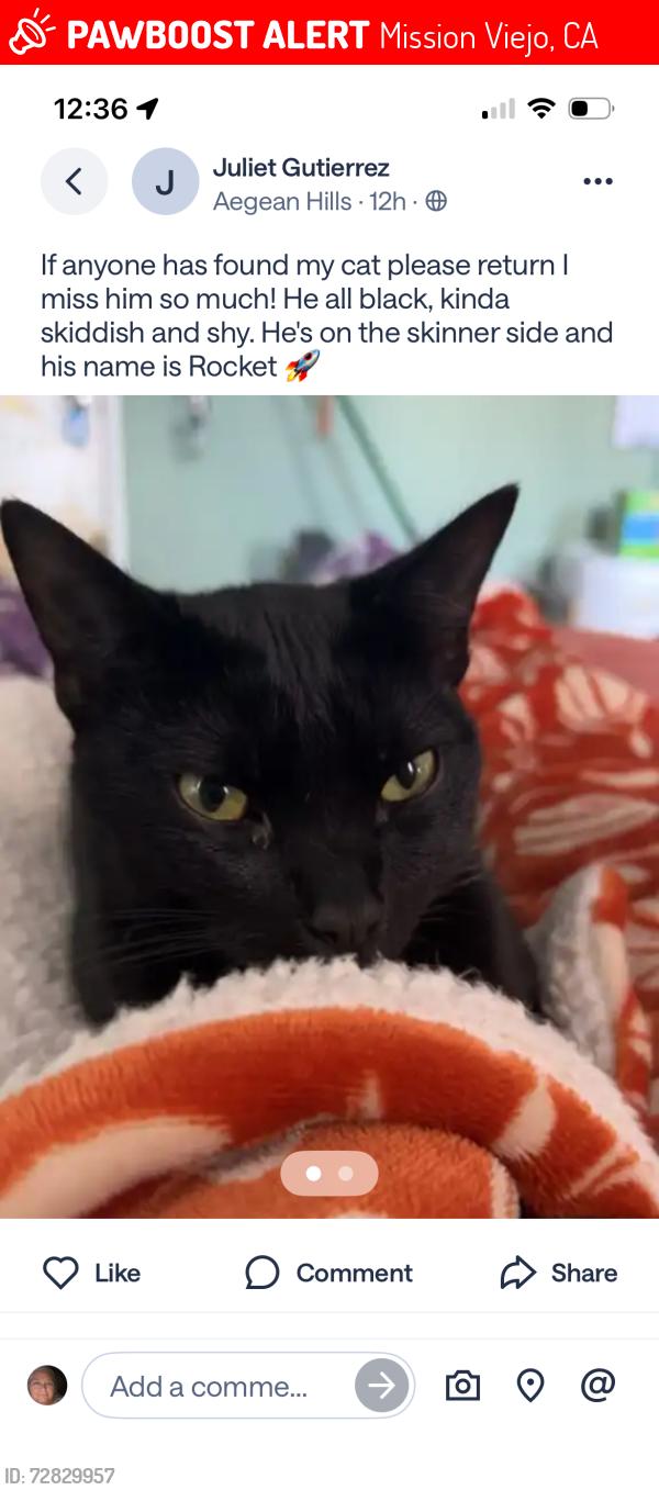 Lost Male Cat last seen Troy n murilands , Mission Viejo, CA 92691
