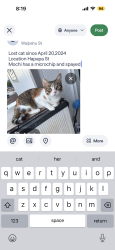 Lost Female Cat last seen POSSIBLY SPOTTED NEAR AUGUST AHRENS ELEMENTARY , Waipahu, HI 96797