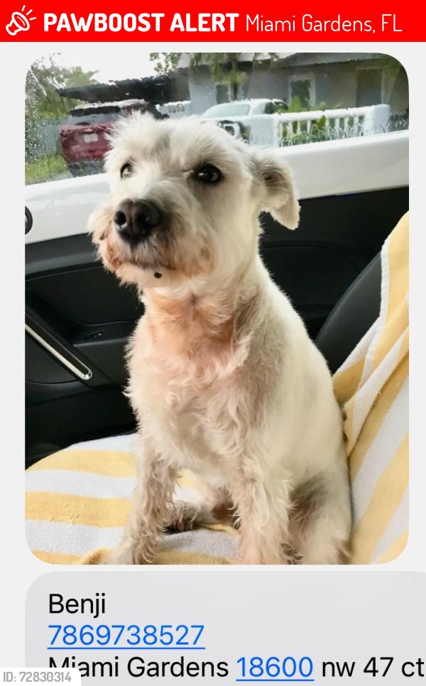 Lost Male Dog last seen Nw 191 street , Miami Gardens, FL 33056