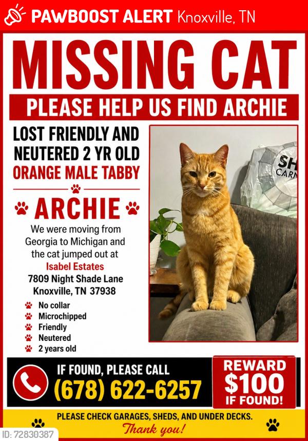 Lost Male Cat last seen Tall Shadow Lane and Brackett Road , Knoxville, TN 37938