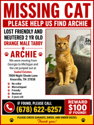 Lost Male Cat last seen Tall Shadow Lane and Brackett Road , Knoxville, TN 37938