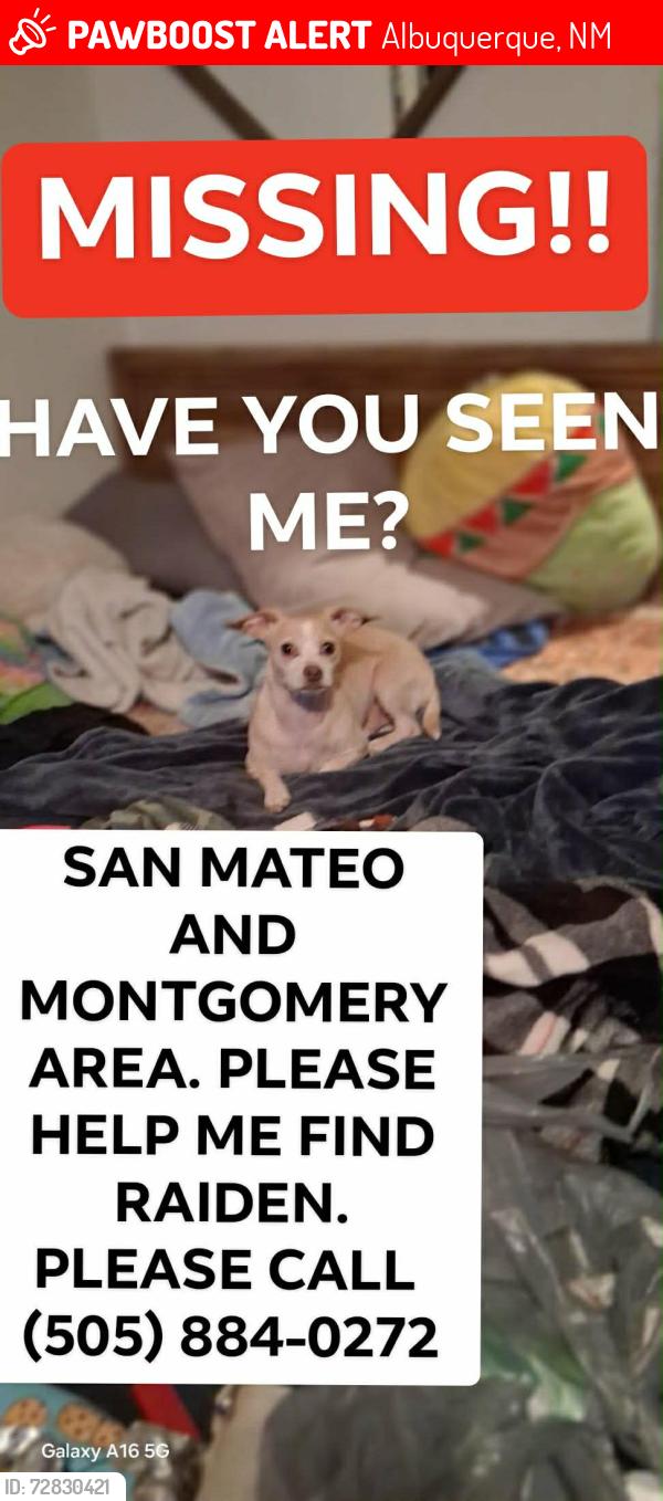 Lost Male Dog last seen Montgomery and San Mateo, Albuquerque, NM 87110