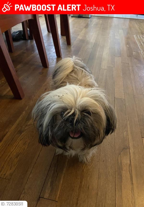 Lost Female Dog last seen Near , Joshua, TX 76058