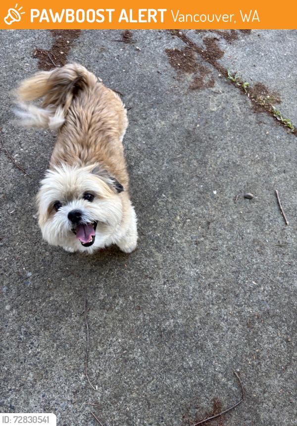 Found/Stray Male Dog last seen Near Ne 43rd ave, Vancouver, WA 98665