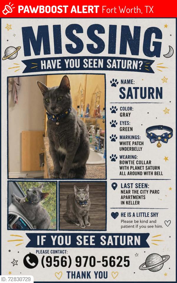 Lost Male Cat last seen City Parc at Keller apmts, Fort Worth, TX 76244