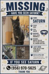 Lost Male Cat last seen City Parc at Keller apmts, Fort Worth, TX 76244