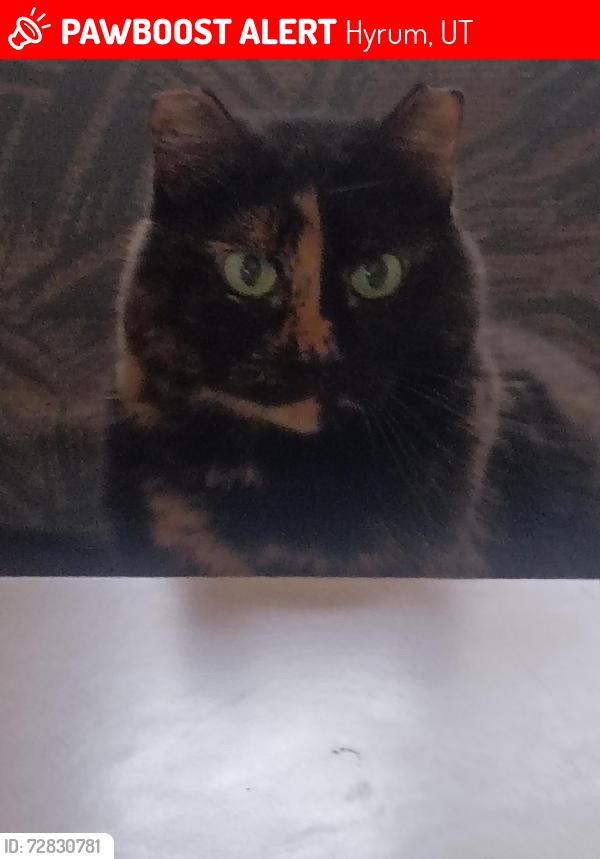 Lost Female Cat last seen Near East 400 South hyrum, Hyrum, UT 84319