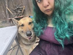 Lost Male Dog last seen Woodlawn ave between Germania and Emory , San Antonio, TX 78228