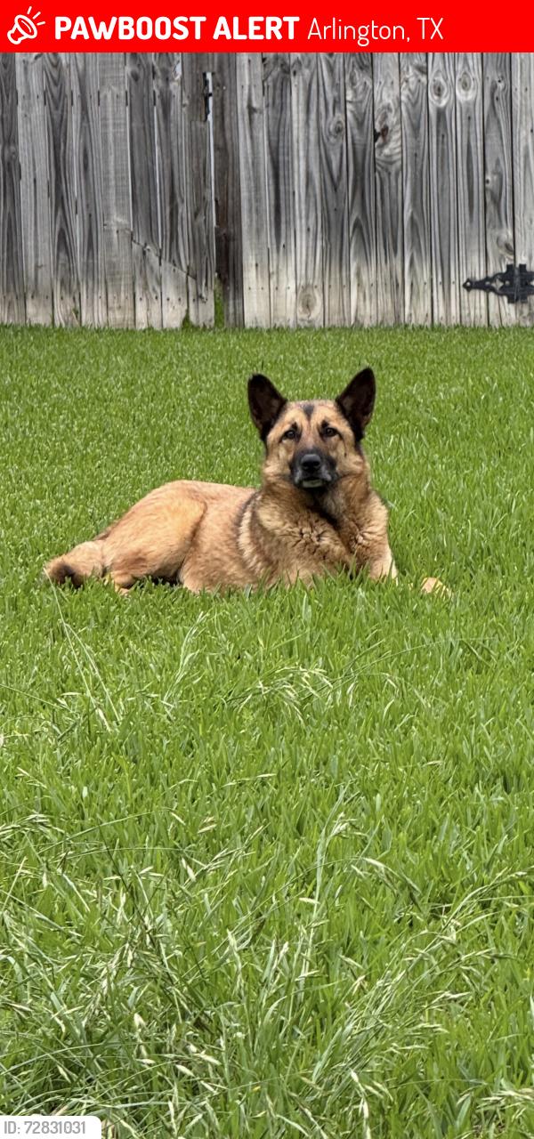 Lost Unknown Dog last seen Glassboro Circle by Colorado lane , Arlington, TX 76015