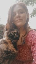 Lost Female Cat last seen El Rd , Little Rock, AR 72206