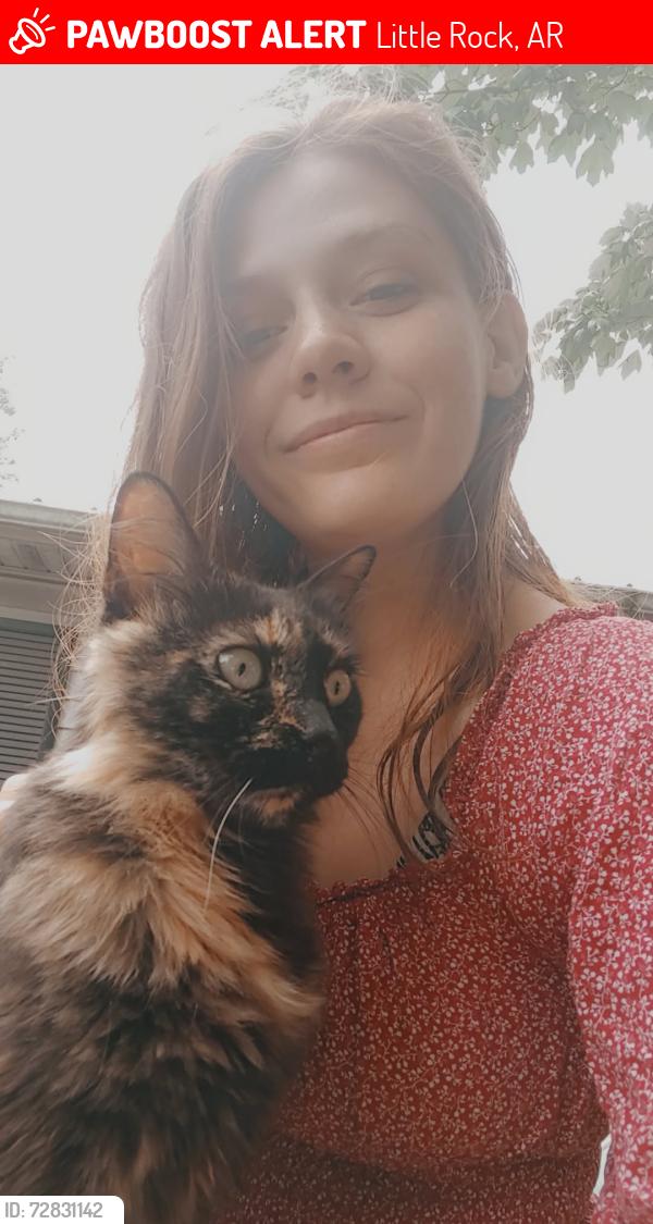 Lost Female Cat last seen El Rd , Little Rock, AR 72206