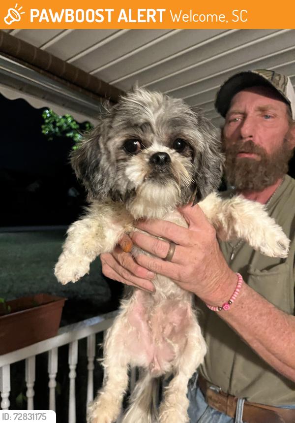 Found/Stray Female Dog last seen Flora Ave, Welcome, SC 29611