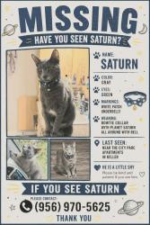 Lost Male Cat last seen North Beach street and Golden Triangle blvd, Keller, TX 76244
