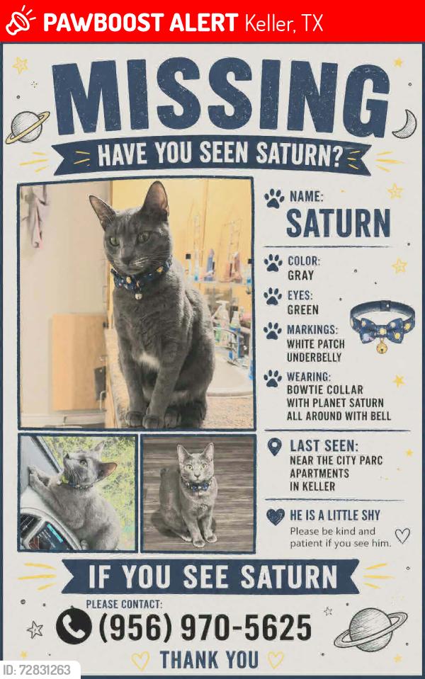 Lost Male Cat last seen North Beach street and Golden Triangle blvd, Keller, TX 76244