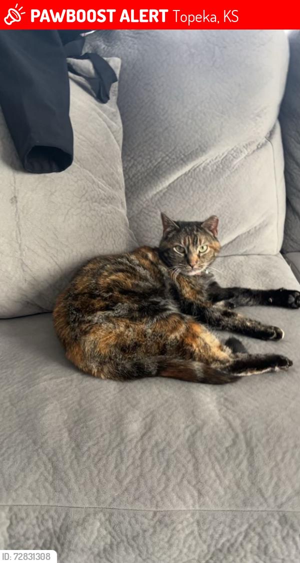 Lost Female Cat last seen Between Sun flower soccer and Loves Travel stop , Topeka, KS 66606