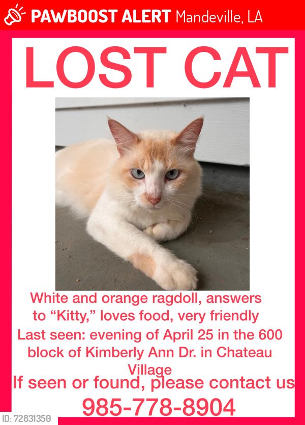Lost Male Cat last seen Kimberly Ann Drive, Mandeville, LA 70471