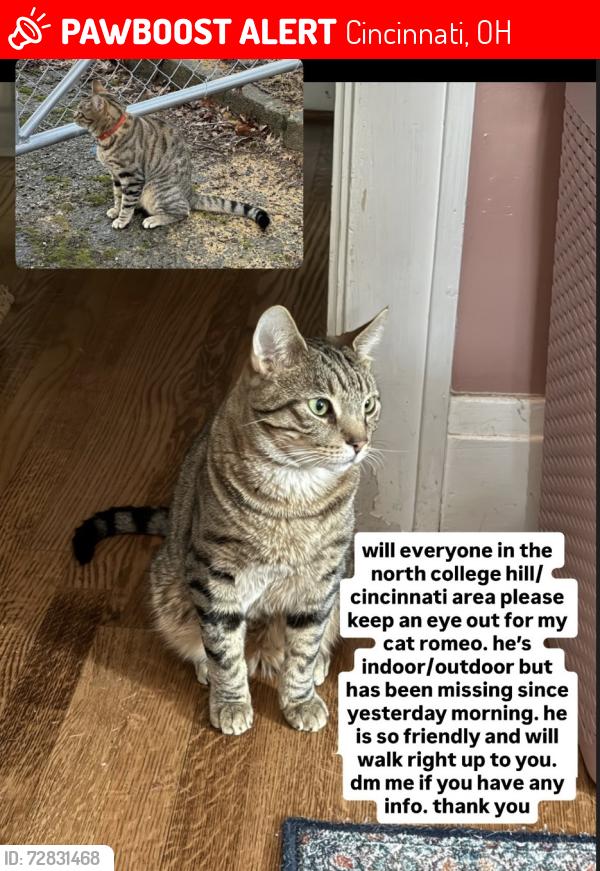 Lost Male Cat last seen Peaslee and Cary , Cincinnati, OH 45224